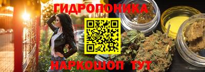 spice Краснодар