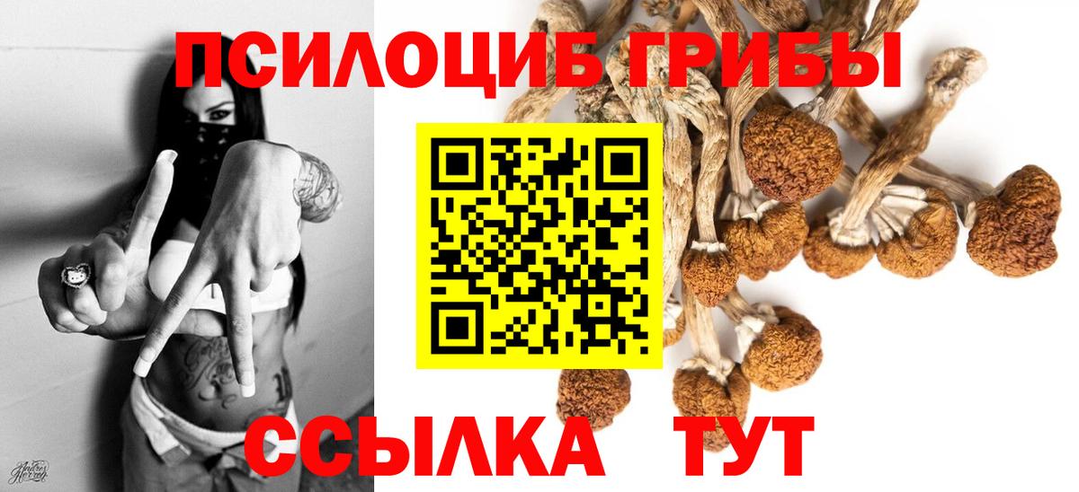 Шахты  Псилоцибиновые грибы мухоморы  Вход с VPN 